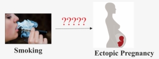 Does Smoking Cause Ectopic Pregnancy - No Smoking #9280989