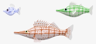 Image Description - Bony-fish #9281882