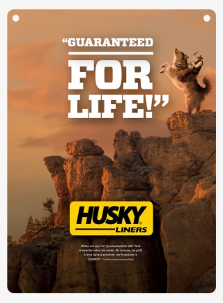 Pop Package - - Flyer #9283251