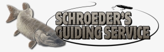 Schroeders Guiding Service - Alligator #9283284 Schroeders Guiding Service - Alligator #9283284