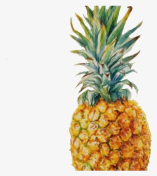 Pineapple Drawing Art #9283639