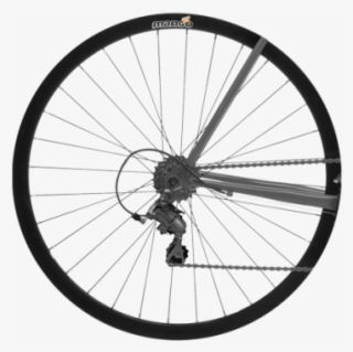 Custom Og - Hybrid Bicycle #9284758