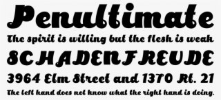 Parakeet Font Phrases - Font Similar To Add City Boy #9285077