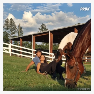 Ian Somerhalder E Nikki Reed Estão Casados Há 3 Anos - Ian And Nikki Horses #9285150