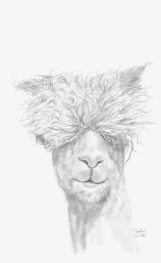 Bleed Area May Not Be Visible - Sketch #9287230