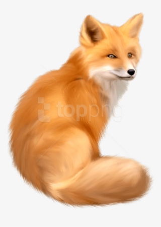 Free Png Download Fox Png Images Background Png Images - Fox Png #9287232