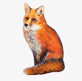 Red Fox Cottage - Red Fox Transparent #9287323