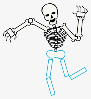 Explore Skeleton Drawings, Human Skeleton, And More - Human Neck Bone ...