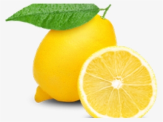 12 Lemon Clipart Transparent Background Free Clip Art - Lemon Clipart Transparent Background #9290720