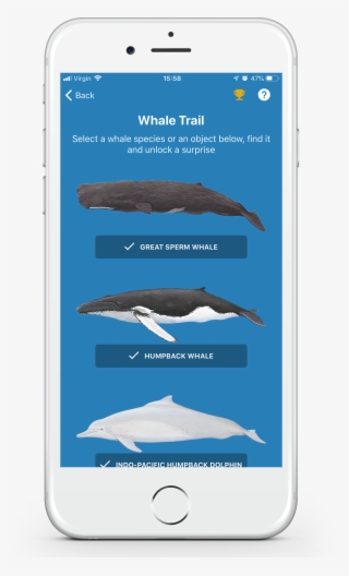 Whale Trail Whale Selector Screen With Trophy Icon - Squaliformes #9292344