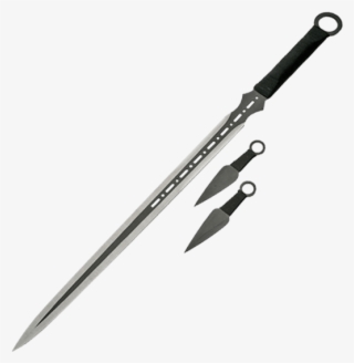 Price Match Policy - Fantasy Ninja Sword #9293260