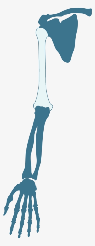 Illustration #9293579