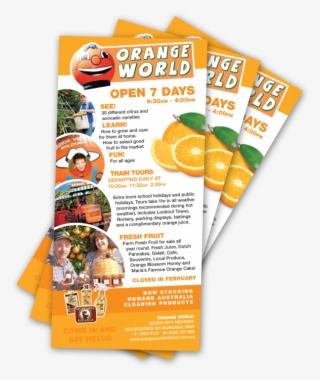 Graphic Design Web Development Services - Flyer #9294959