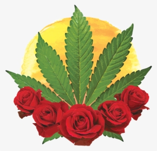 Positive Roots Garden - E Liquide 1 Litre #9295166