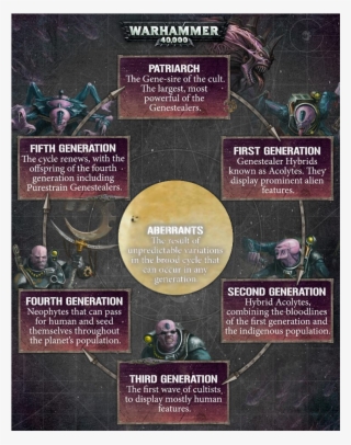 The Philosopher's Meme - Warhammer 40k #9295872