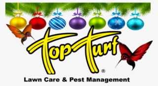 Top Turf #9297720