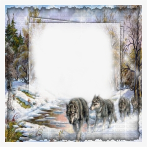 Winter Forest Wolf Frame Cadre Hiver Loup - Png De Frames Nature Beautiful #930738