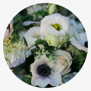 Florals - Bouquet #930739