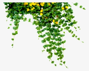 Yellow Flower Jungle Cartoon Transparent - Teachers Day Quotes In Telugu #931359