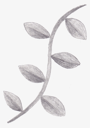 Tree Vines Clipart - Sketch #931637