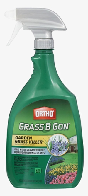 Ortho Grass B Gon Ready To Use Garden Grass Killer #932570