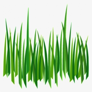 Transparent Ornamental Material For Long Branches And - Cartoon Grass Transparent Background #932686 Transparent Ornamental Material For Long Branches And - Cartoon Grass Transparent Background #932686