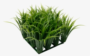 Ornamental Grass Png - Fluval Chi Grass Aquarium Ornament #932744