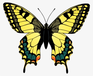 Yellow Swallowtail Butterfly Transparent #932967