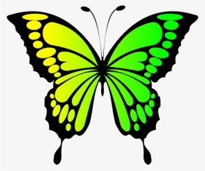 This Free Icons Png Design Of Butterfly Yellow Green #933120