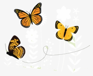 If They Sense A Predator, Or A Human, Approaching, - Butterfly In The Garden Png #933204