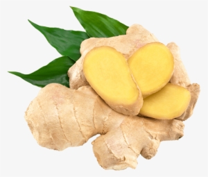 Ginger Png Clipart - Organic India Tulsi Green Tea Lemon Ginger 18 Tea Bags #933328