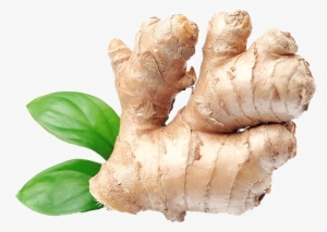 Ginger Png Download Image - Ginger Png #933382