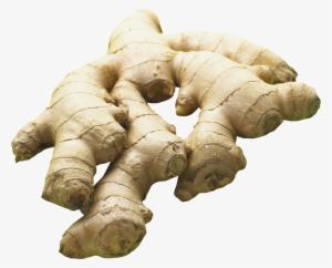 Remedios Caseros Para La Riñitis #933428