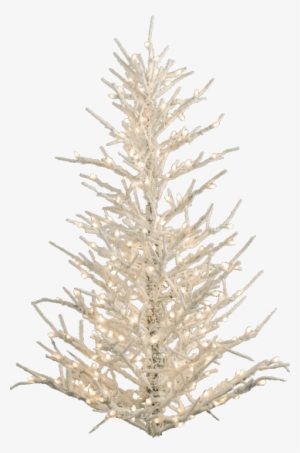 Free Download Christmas - Christmas Day #933457