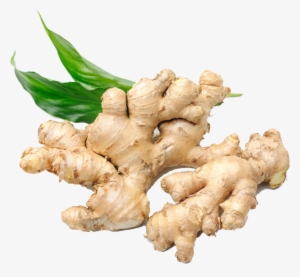 Ginger #933489
