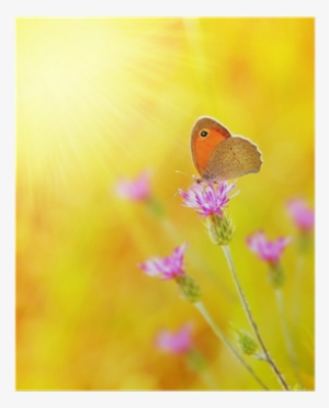 Il Diario Di Rebecca #933540