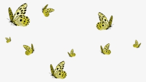 A Place To Grow - Transparent Background Butterflies Png #933574
