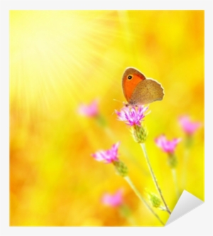 Il Diario Di Rebecca #933616