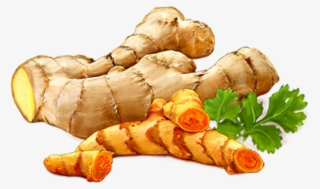 Ginger Png - Ginger Clipart Png #933617