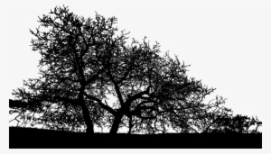 Landscape Tree Silhouette Png #933728