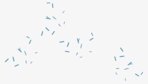 Online Store - Parallel #934262