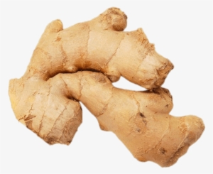 Food - Ginger - Ginger Root Kroger #934264