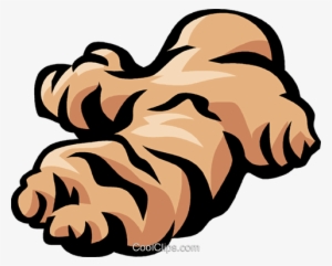 Ginger Clipart Transparent - Ginger Clipart #934291