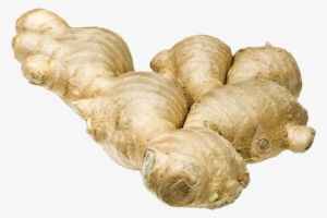 Ginger+galangal+lemon Grass Herbal Tea Aids Digestion, #934295