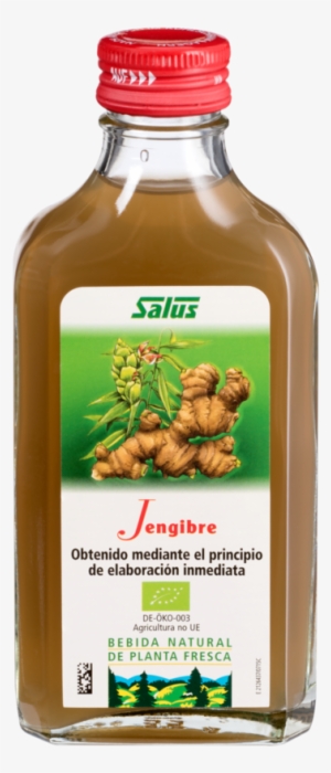 Salus Ginger Juice 200ml. Schoenenberger #934317