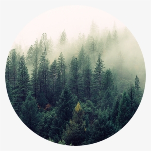 Forestry Solutions - Society6 Ascension Wall Tapestry Small: 51" X 60" #934565