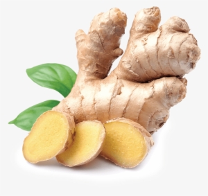 Ginger #934624