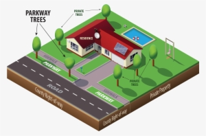 What Is A Parkway Tree - Swimming Pool #934809
