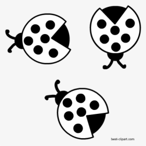 Free Clipart Black And White Ladybirds - Free Content #934967