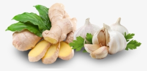 Flavours - Sabziyon Ke Fawaid In Urdu #934970